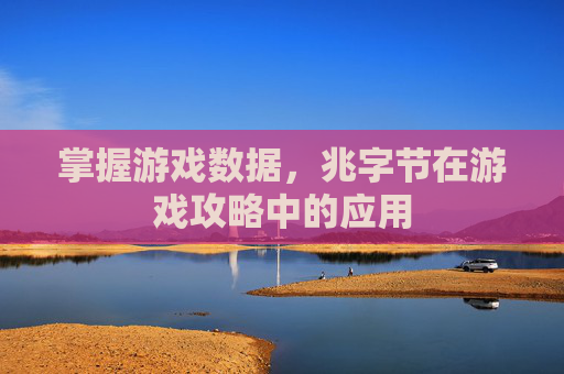 掌握游戏数据，兆字节在游戏攻略中的应用