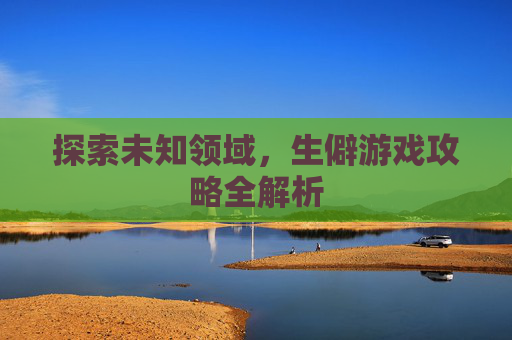 探索未知领域，生僻游戏攻略全解析
