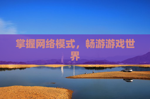 掌握网络模式,畅游游戏世界 掌握网络模式,畅游游戏世界