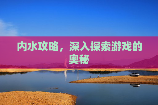 内水攻略，深入探索游戏的奥秘