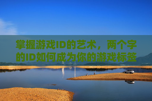 掌握游戏ID的艺术，两个字的ID如何成为你的游戏标签？