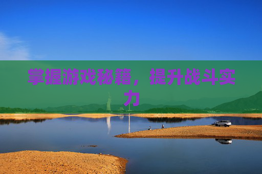 掌握游戏秘籍，提升战斗实力