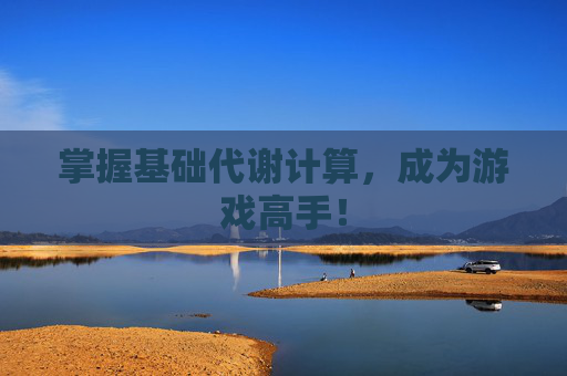 掌握基础代谢计算，成为游戏高手！