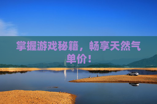 掌握游戏秘籍，畅享天然气单价！