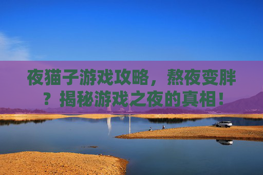 夜猫子游戏攻略，熬夜变胖？揭秘游戏之夜的真相！