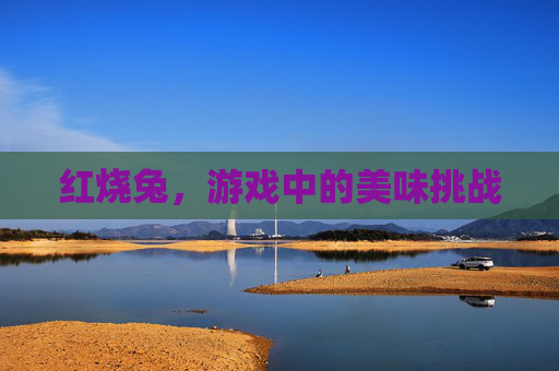 红烧兔，游戏中的美味挑战