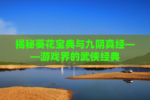 揭秘葵花宝典与九阴真经——游戏界的武侠经典 揭秘葵花宝典与九阴真经——游戏界的武侠经典