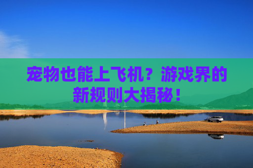 宠物也能上飞机？游戏界的新规则大揭秘！