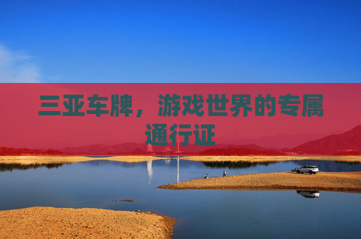 三亚车牌，游戏世界的专属通行证
