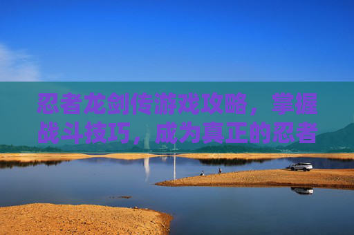 忍者龙剑传游戏攻略,掌握战斗技巧,成为真正的忍者 忍者龙剑传游戏攻略,掌握战斗技巧,成为真正的忍者