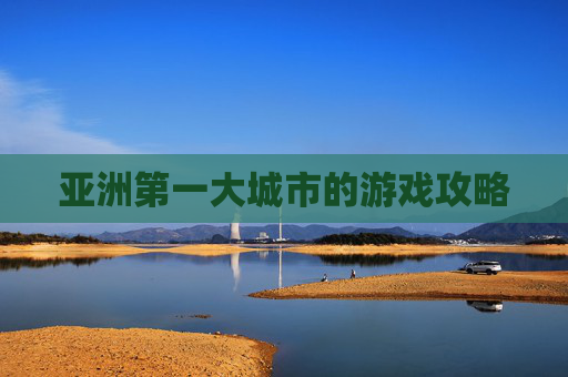 亚洲第一大城市的游戏攻略