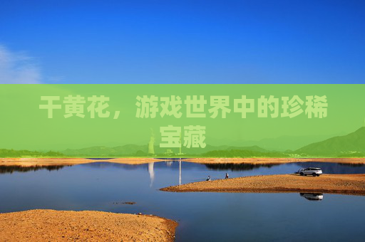 干黄花,游戏世界中的珍稀宝藏 干黄花,游戏世界中的珍稀宝藏