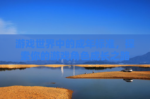 游戏世界中的成年标准，探索你的游戏角色成长之路