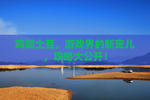 鸡腿土豆，游戏界的新宠儿，攻略大公开！