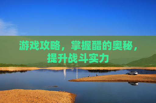 游戏攻略，掌握醋的奥秘，提升战斗实力