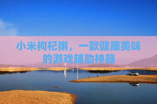 小米枸杞粥，一款健康美味的游戏辅助神器