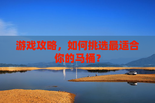 游戏攻略，如何挑选最适合你的马桶？