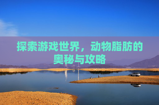 探索游戏世界，动物脂肪的奥秘与攻略