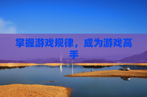 掌握游戏规律，成为游戏高手
