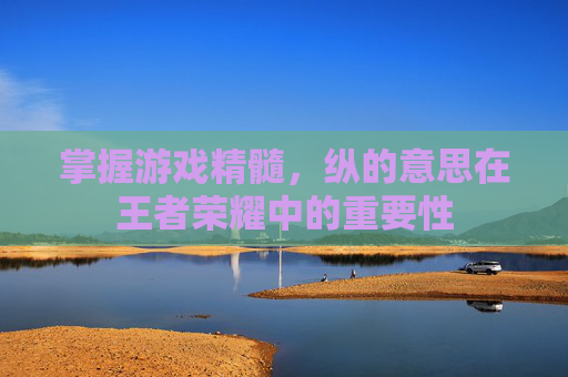 掌握游戏精髓，纵的意思在王者荣耀中的重要性