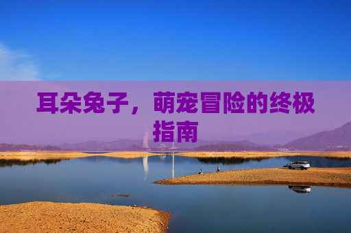 耳朵兔子，萌宠冒险的终极指南