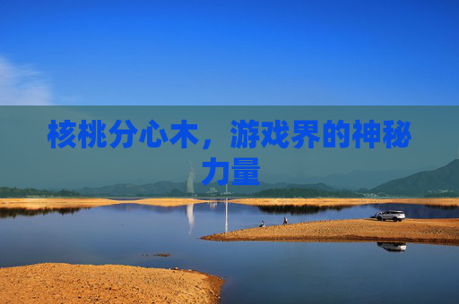 核桃分心木，游戏界的神秘力量