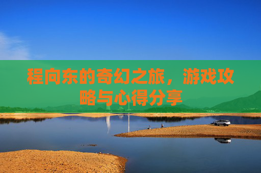 程向东的奇幻之旅，游戏攻略与心得分享