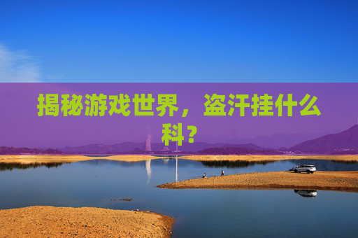 揭秘游戏世界,盗汗挂什么科? 揭秘游戏世界,盗汗挂什么科?
