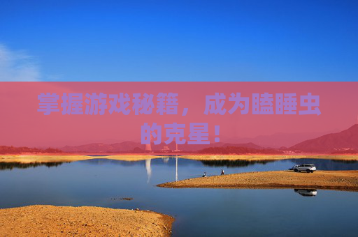 掌握游戏秘籍,成为瞌睡虫的克星! 掌握游戏秘籍,成为瞌睡虫的克星!