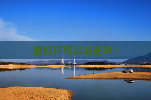 西红柿可以减肥吗? 西红柿可以减肥吗?