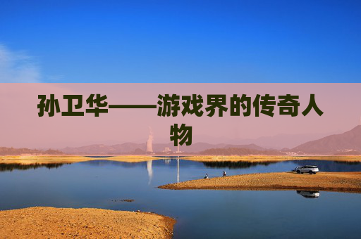 孙卫华——游戏界的传奇人物 孙卫华——游戏界的传奇人物