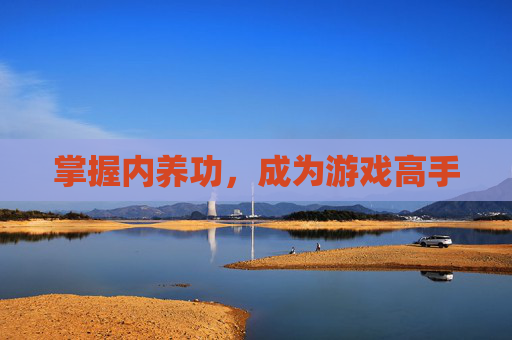 掌握内养功，成为游戏高手