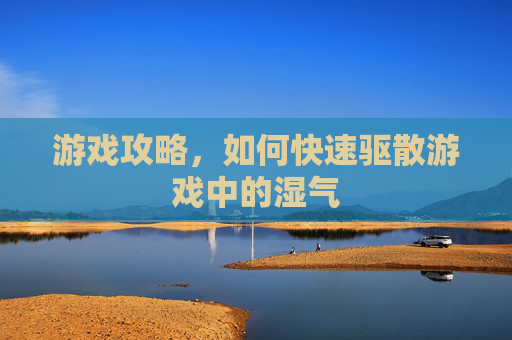 游戏攻略，如何快速驱散游戏中的湿气