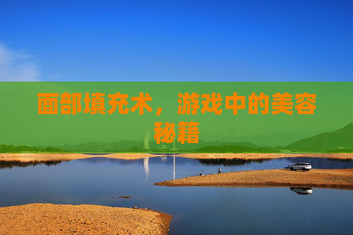 面部填充术,游戏中的美容秘籍 面部填充术,游戏中的美容秘籍