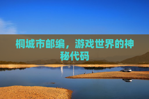 桐城市邮编，游戏世界的神秘代码
