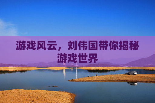 游戏风云，刘伟国带你揭秘游戏世界