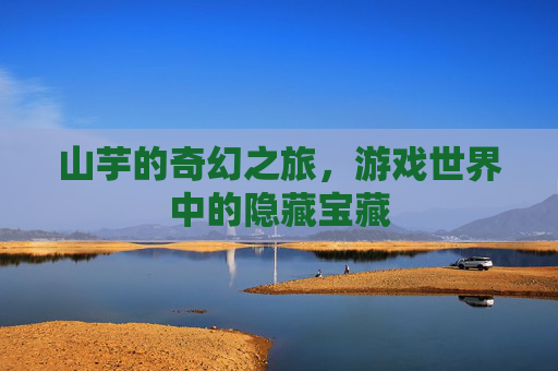 山芋的奇幻之旅，游戏世界中的隐藏宝藏