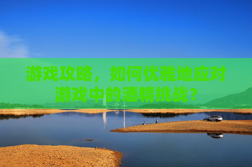 游戏攻略，如何优雅地应对游戏中的酒精挑战？