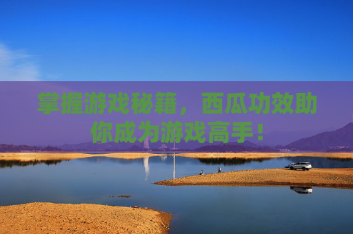 掌握游戏秘籍，西瓜功效助你成为游戏高手！