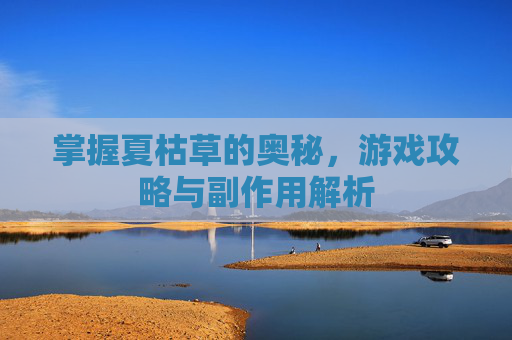 掌握夏枯草的奥秘，游戏攻略与副作用解析