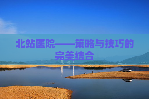 北站医院——策略与技巧的完美结合