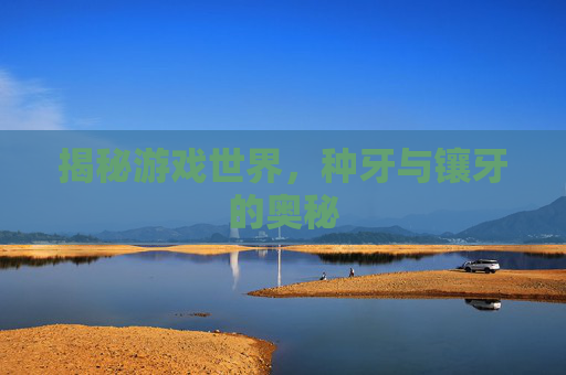 揭秘游戏世界,种牙与镶牙的奥秘 揭秘游戏世界,种牙与镶牙的奥秘