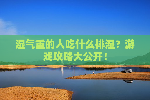 湿气重的人吃什么排湿？游戏攻略大公开！