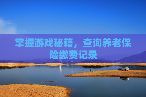 掌握游戏秘籍，查询养老保险缴费记录