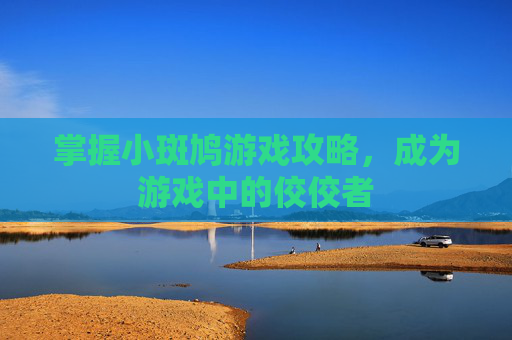 掌握小斑鸠游戏攻略，成为游戏中的佼佼者