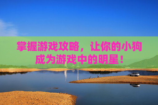 掌握游戏攻略，让你的小狗成为游戏中的明星！