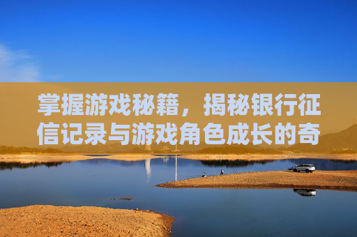 掌握游戏秘籍，揭秘银行征信记录与游戏角色成长的奇妙联系