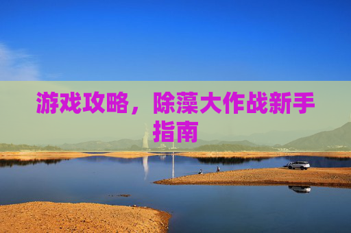 游戏攻略，除藻大作战新手指南