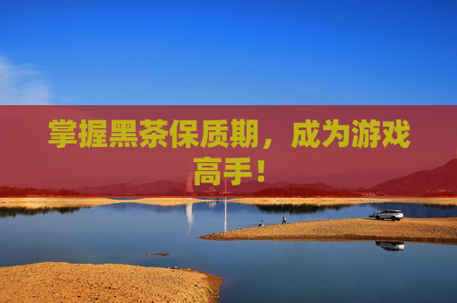 掌握黑茶保质期,成为游戏高手! 掌握黑茶保质期,成为游戏高手!