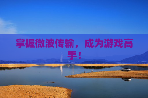 掌握微波传输，成为游戏高手！